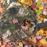 Blog-Mar2017 main02 ‣ Handwright Gallery & Framing