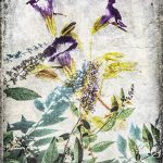 Laurie Peek "For Sue May" ‣ Handwright Gallery & Framing