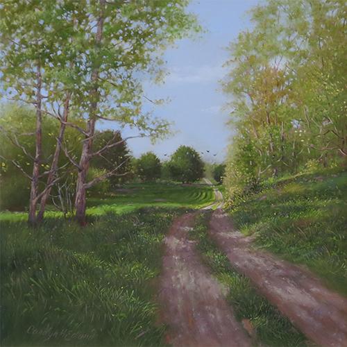 summer-lane summer-lane